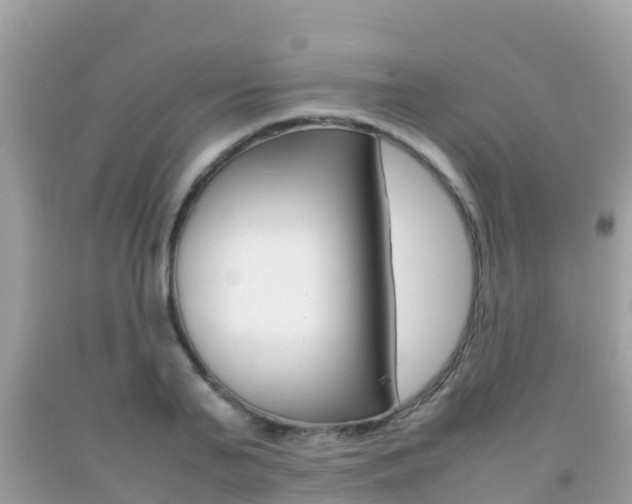 X0000092220791200709140920
