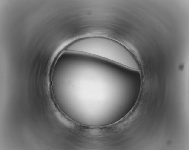 X0000092220792200709140920