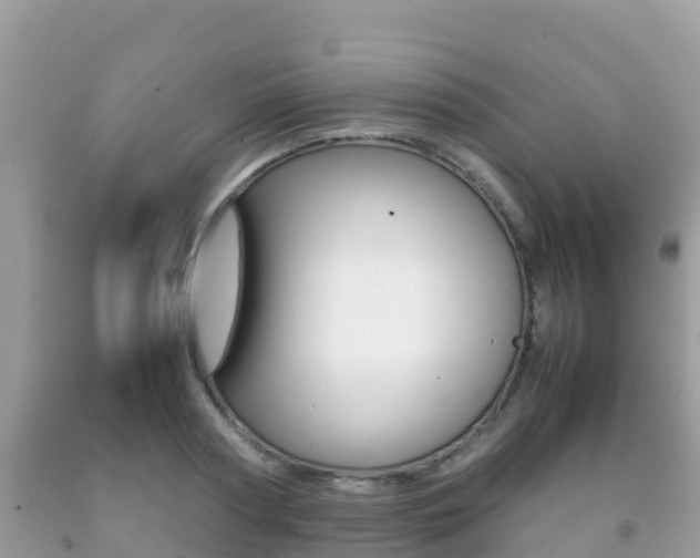 X0000092220794200709140920