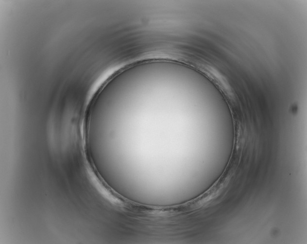 X0000092220796200709140920
