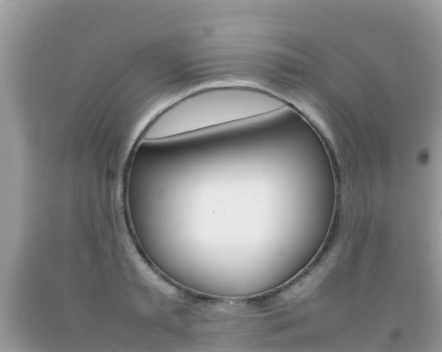 X0000092220797200709140920