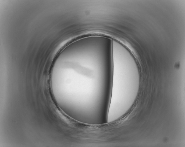 X0000092220799200709140920