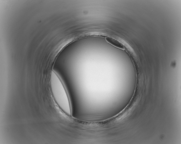X0000092220801200709140920