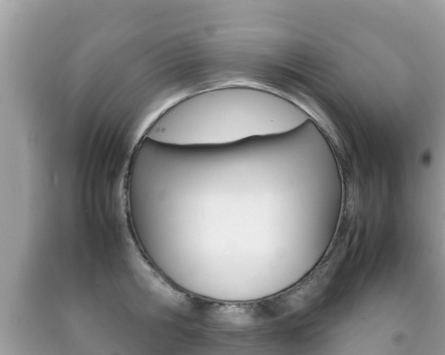 X0000092220806200709140920