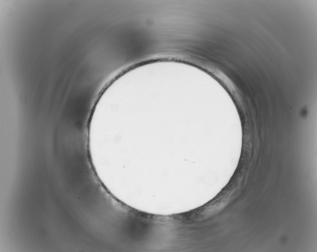 X0000092220807200709140920