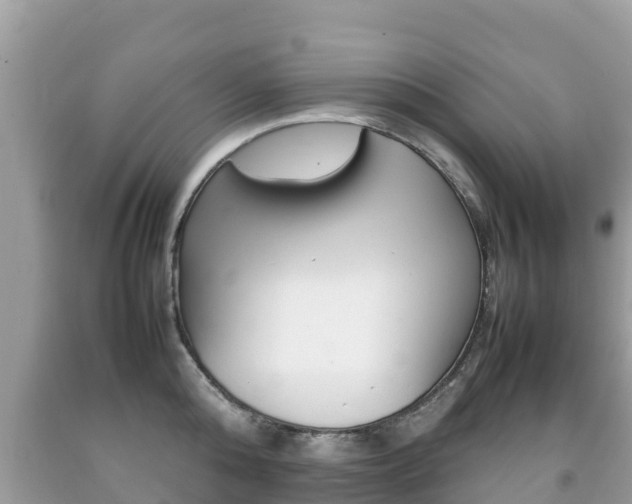 X0000092220808200709140920