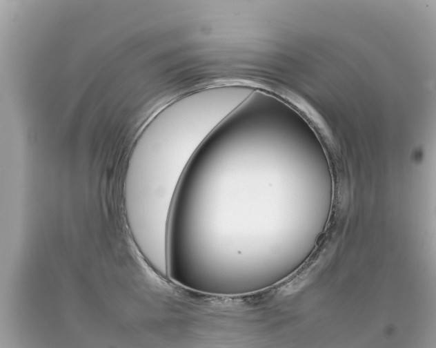 X0000092220809200709140920