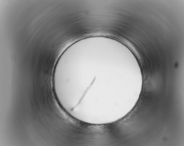 X0000092220810200709140920