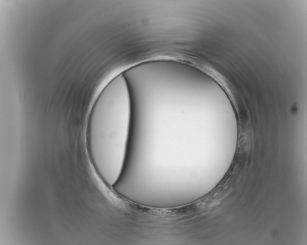 X0000092220811200709140920