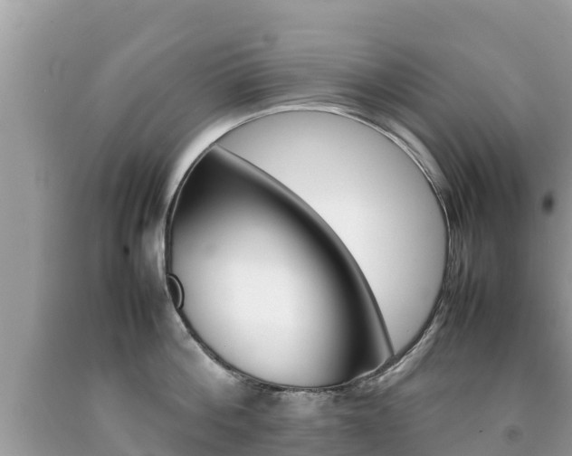 X0000092220812200709140920