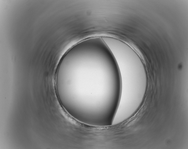 X0000092220813200709140920