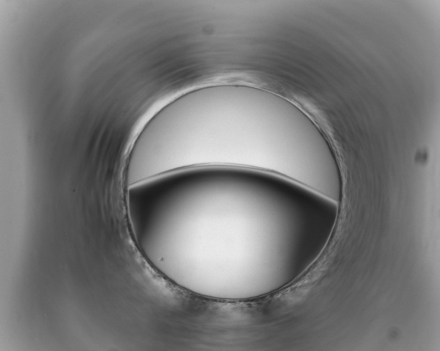 X0000092220816200709140920