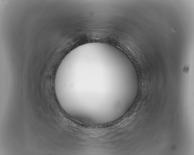 X0000092220817200709140919