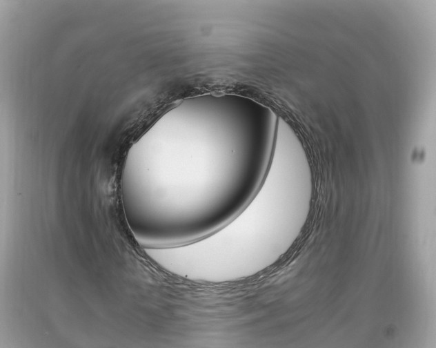 X0000092220818200709140920