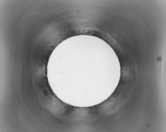 X0000092220820200709140920