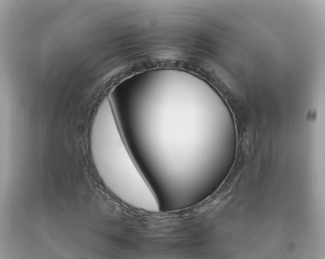 X0000092220821200709140920