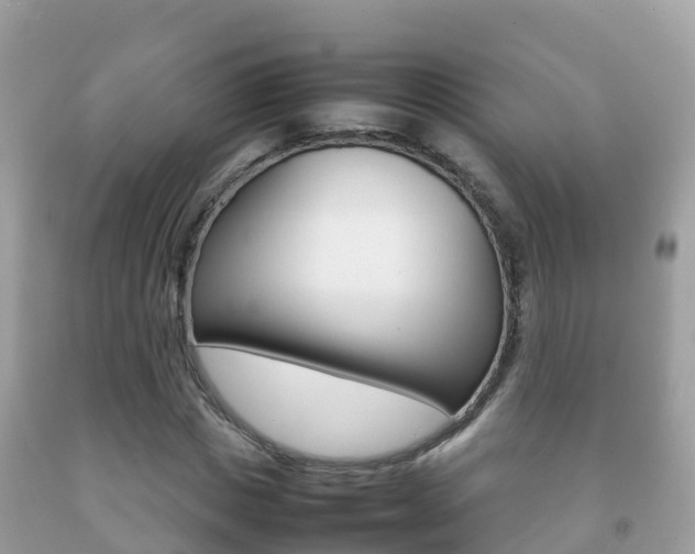 X0000092220825200709140920