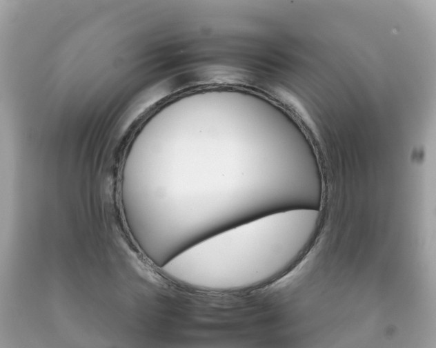 X0000092220827200709140920