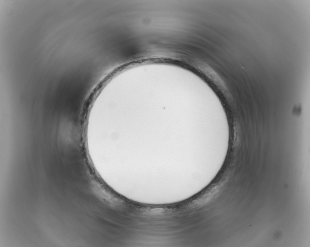 X0000092220828200709140920