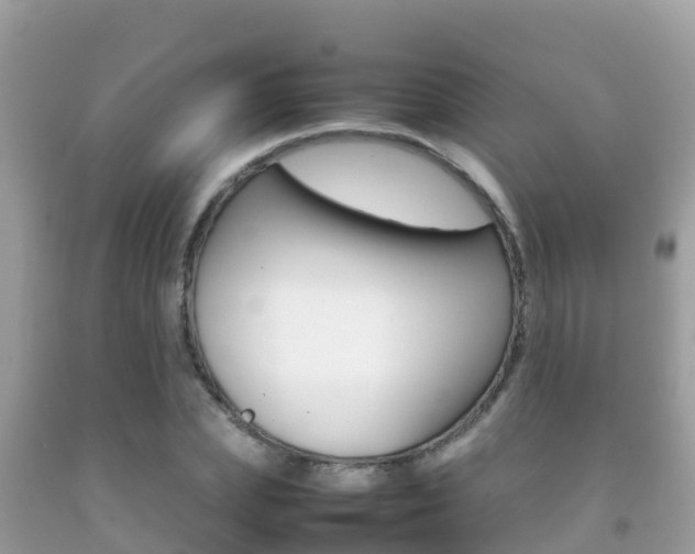 X0000092220831200709140920