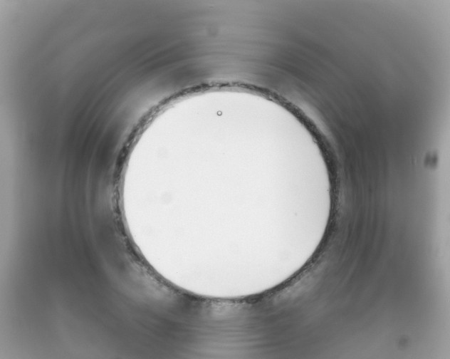 X0000092220832200709140920