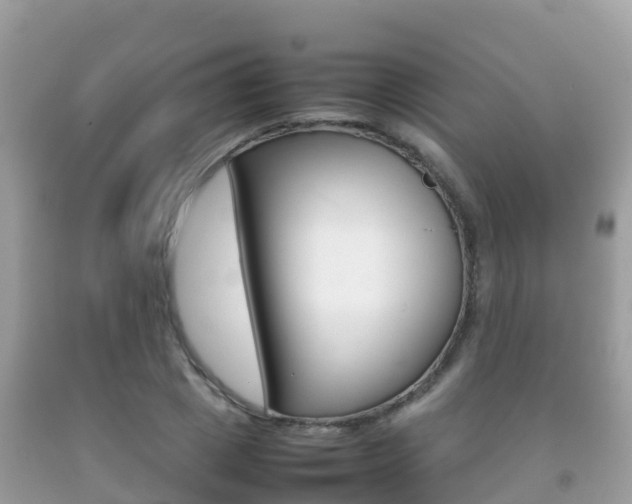 X0000092220833200709140920