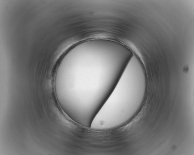 X0000092220835200709140920