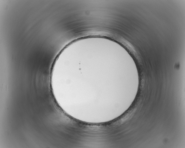 X0000092220836200709140920