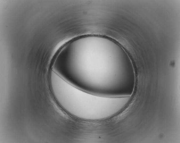 X0000092220838200709140920