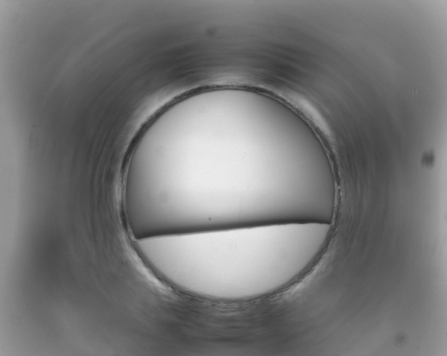 X0000092220839200709140920