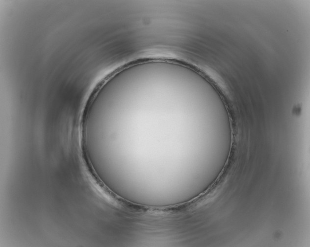 X0000092220840200709140920