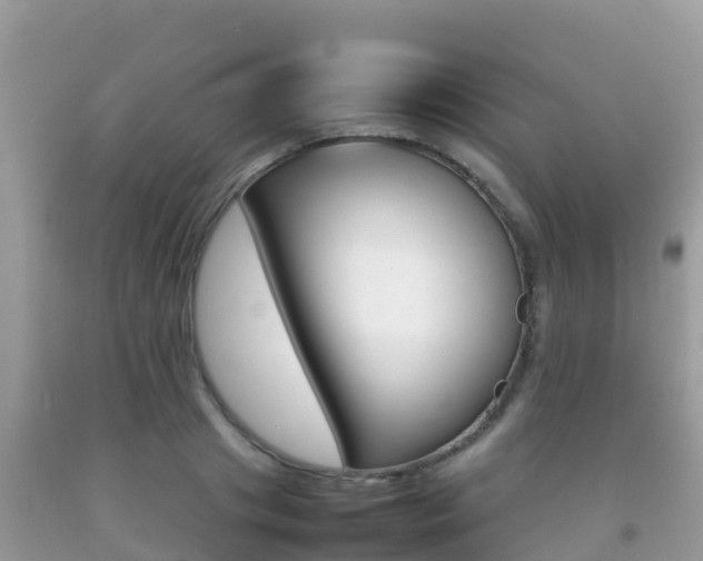 X0000092220841200709140920