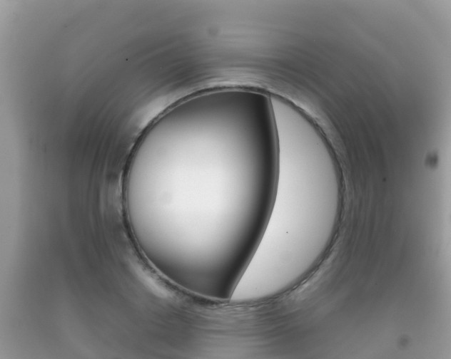 X0000092220842200709140920