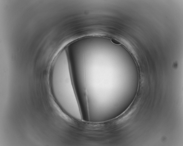 X0000092220843200709140920