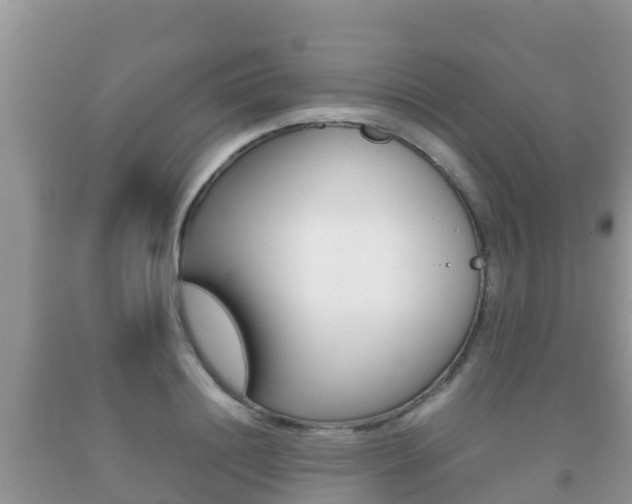 X0000092220844200709140920