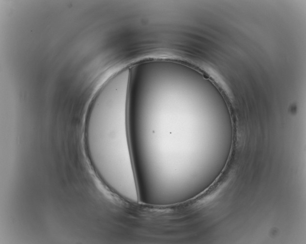 X0000092220845200709140920