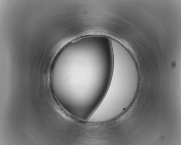 X0000092220846200709140920