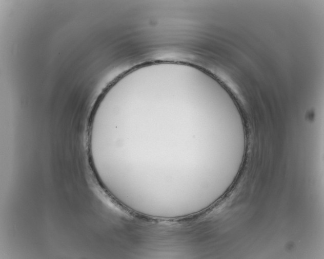 X0000092220848200709140920