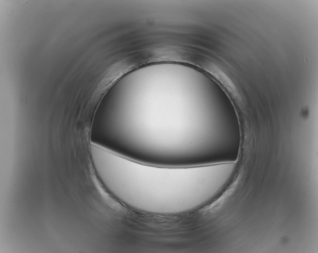 X0000092220849200709140920