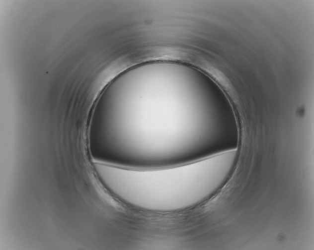X0000092220850200709140920