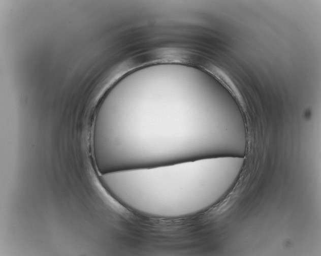 X0000092220851200709140920