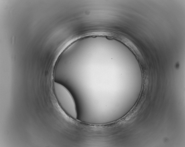 X0000092220852200709140920
