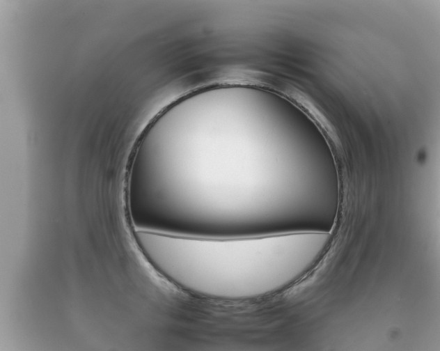 X0000092220853200709140920
