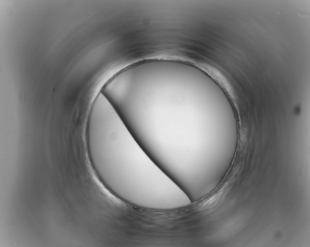 X0000092220855200709140920