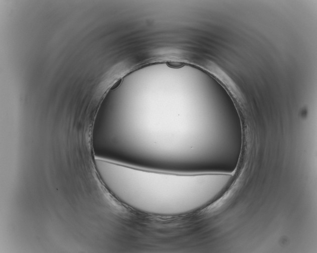 X0000092220857200709140920