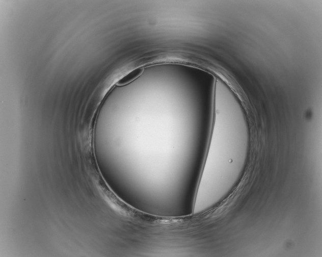 X0000092220858200709140920