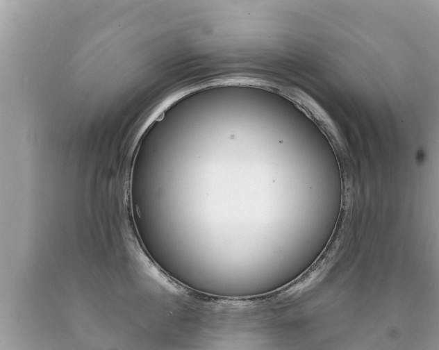 X0000092220860200709140920