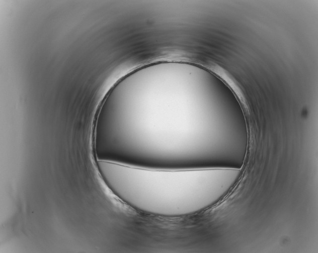 X0000092220861200709140920