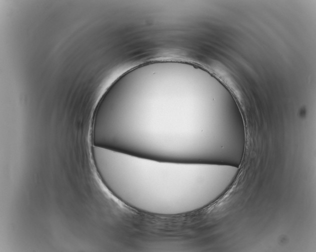 X0000092220863200709140920