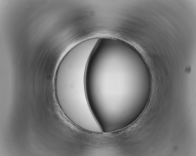 X0000092220864200709140920